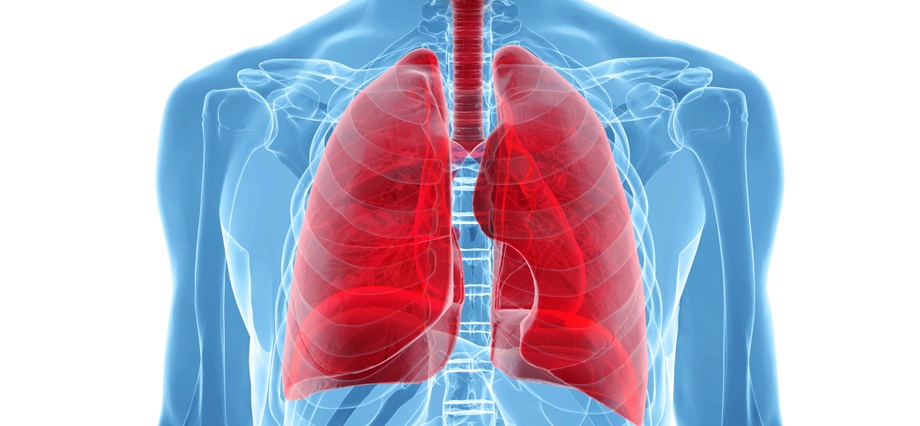 Protect Your Lungs | the lung association